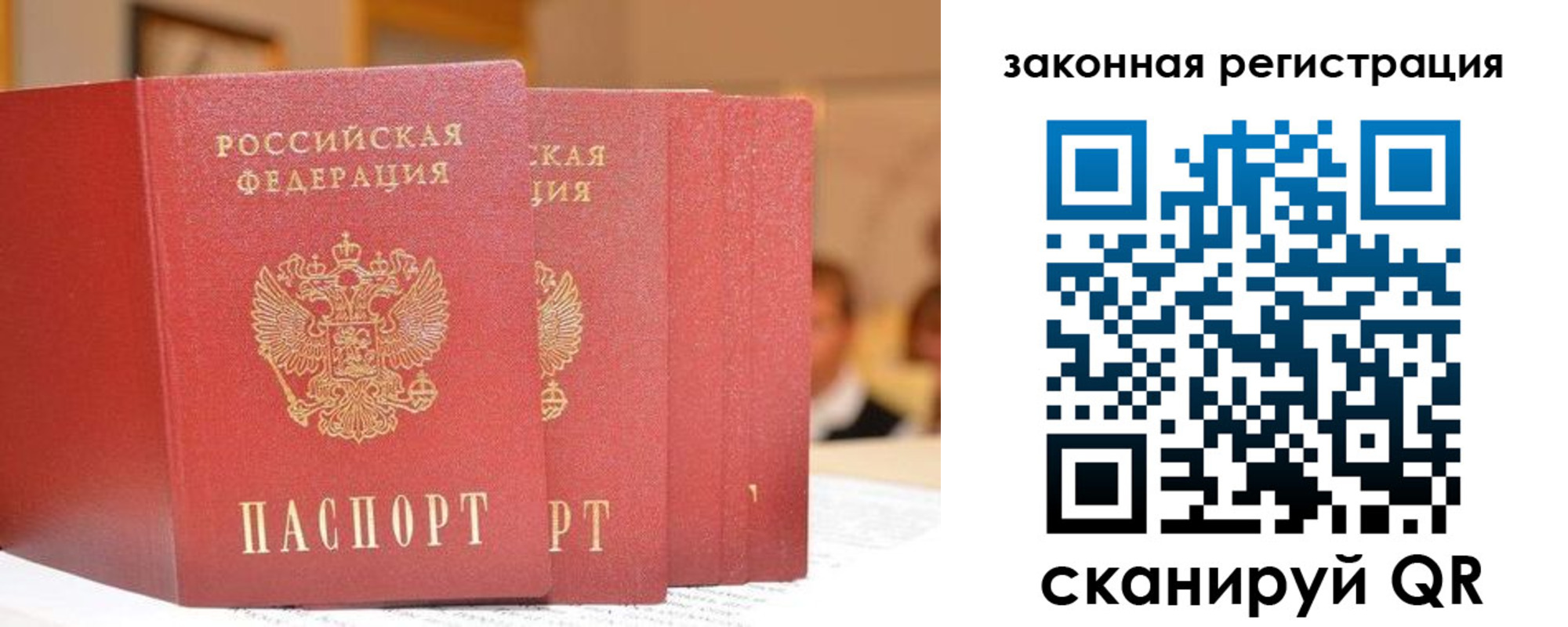 прописка поиск в Шали